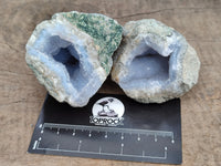 Natural Blue Lace Agate Geode Specimens x 24 From Nsanje, Malawi