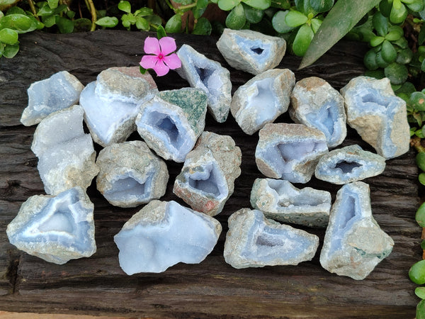 Natural Blue Lace Agate Geode Specimens x 24 From Nsanje, Malawi