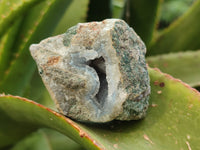 Natural Blue Lace Agate Geode Specimens x 24 From Nsanje, Malawi