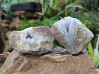 Natural Blue Lace Agate Geode Specimens x 24 From Nsanje, Malawi