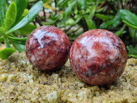 Polished Red Hematoid Quartz Spheres x 5 From Ambatondrazaka, Madagascar