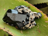 Natural Schorl Black Tourmaline with Hyalite Opal x 12 From Erongo, Namibia