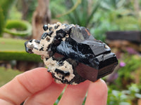 Natural Schorl Black Tourmaline with Hyalite Opal x 12 From Erongo, Namibia