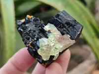 Natural Schorl Black Tourmaline with Hyalite Opal x 12 From Erongo, Namibia