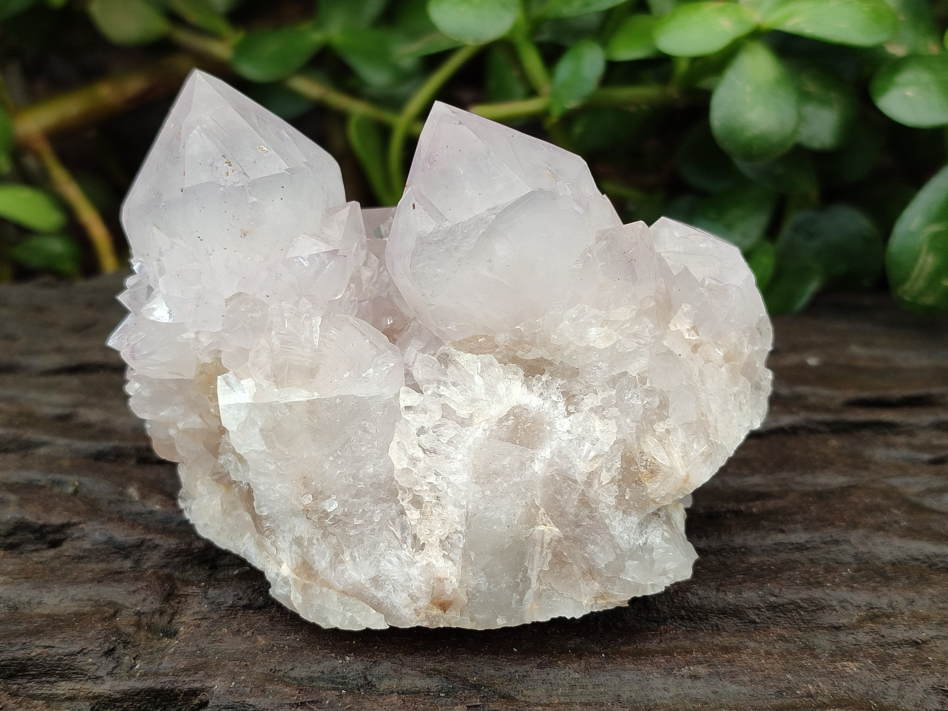 Natural Amethyst Spirit Quartz Clusters x 6 From Boekenhouthoek, South Africa - Toprock Gemstones and Minerals 