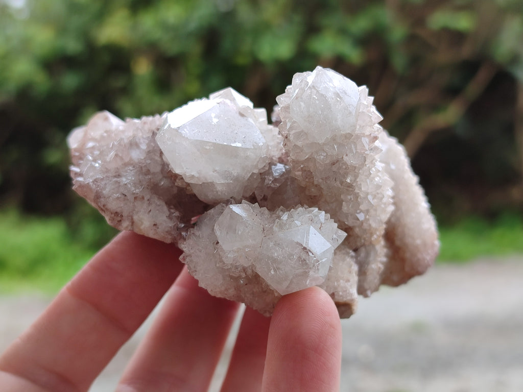Natural Amethyst Spirit Quartz Clusters x 6 From Boekenhouthoek, South Africa - Toprock Gemstones and Minerals 