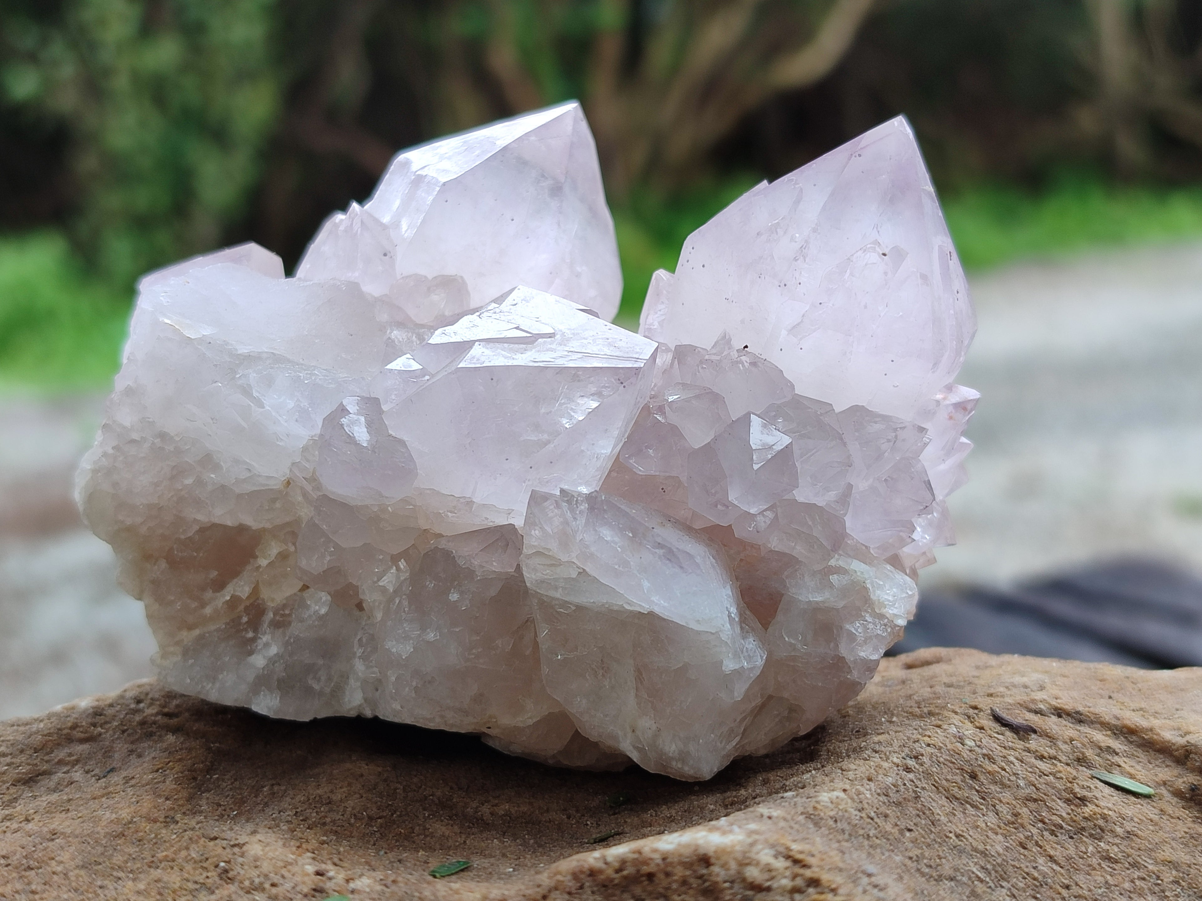 Natural Amethyst Spirit Quartz Clusters x 6 From Boekenhouthoek, South Africa - Toprock Gemstones and Minerals 
