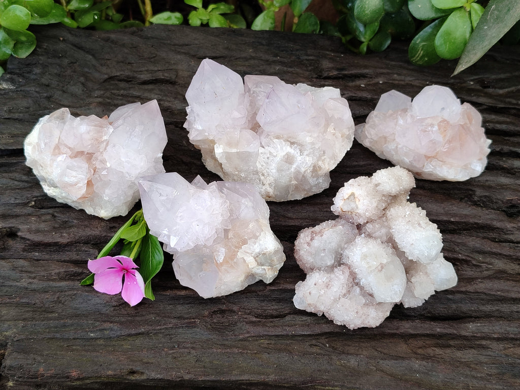 Natural Amethyst Spirit Quartz Clusters x 6 From Boekenhouthoek, South Africa - Toprock Gemstones and Minerals 