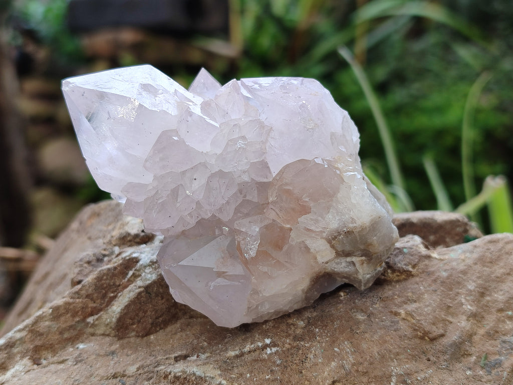 Natural Amethyst Spirit Quartz Clusters x 6 From Boekenhouthoek, South Africa - Toprock Gemstones and Minerals 