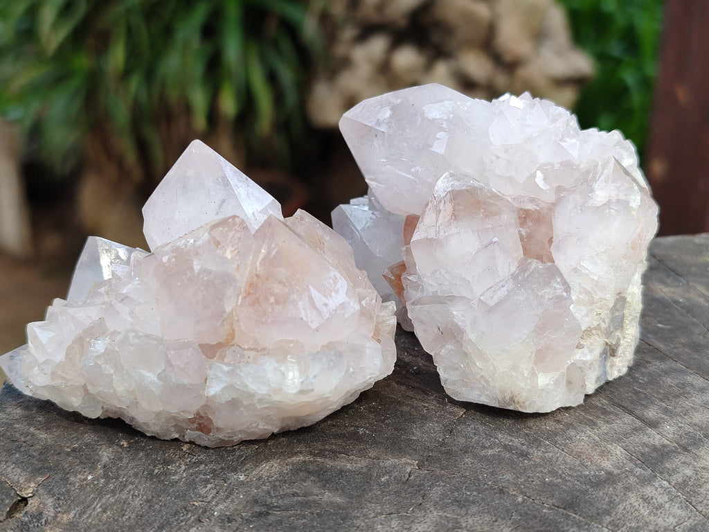 Natural Amethyst Spirit Quartz Clusters x 6 From Boekenhouthoek, South Africa - Toprock Gemstones and Minerals 