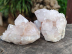 Natural Amethyst Spirit Quartz Clusters x 6 From Boekenhouthoek, South Africa - Toprock Gemstones and Minerals 