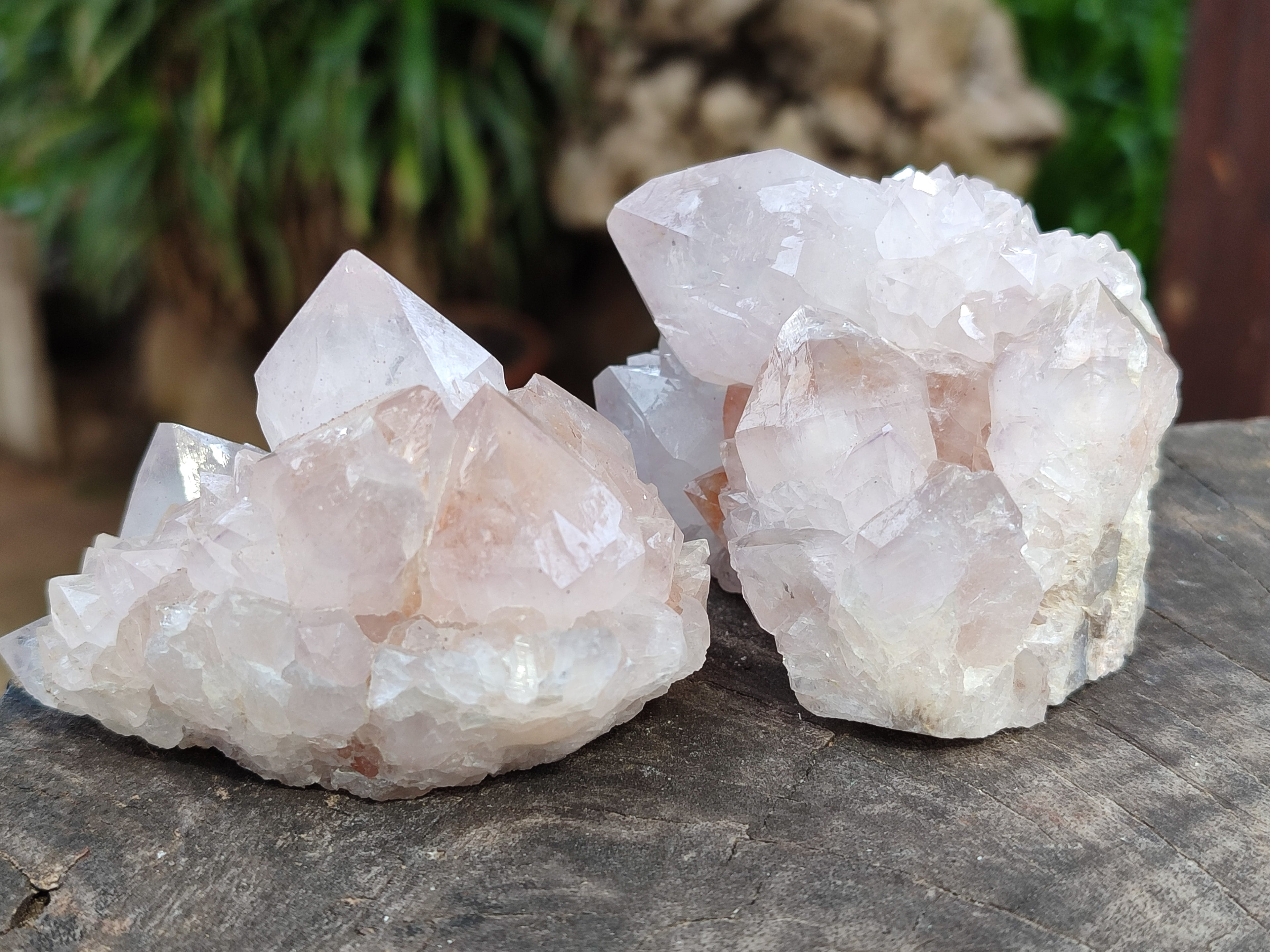 Natural Amethyst Spirit Quartz Clusters x 6 From Boekenhouthoek, South Africa - Toprock Gemstones and Minerals 