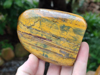 Polished Neolite Standing Free Forms x 3 From Prieska, South Africa