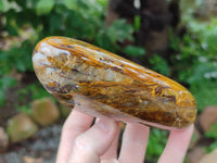 Polished Neolite Standing Free Forms x 3 From Prieska, South Africa