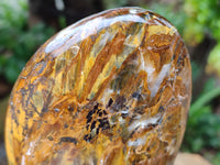 Polished Neolite Standing Free Forms x 3 From Prieska, South Africa