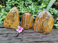 Polished Neolite Standing Free Forms x 3 From Prieska, South Africa