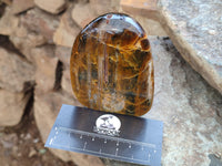 Polished Neolite Standing Free Forms x 3 From Prieska, South Africa