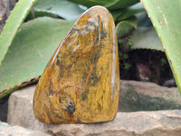 Polished Neolite Standing Free Forms x 3 From Prieska, South Africa