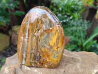Polished Neolite Standing Free Forms x 3 From Prieska, South Africa