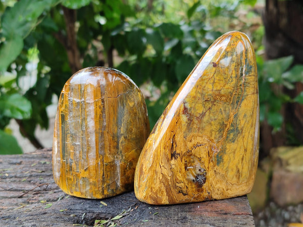 Polished Neolite Standing Free Forms x 3 From Prieska, South Africa