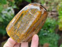 Polished Neolite Standing Free Forms x 3 From Prieska, South Africa