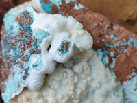 Natural Hemimorphite with Chrysocolla and Stalagmites x 2 From Congo