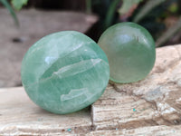 Polished Green Fluorite Palm Stones x 35 From Madagascar