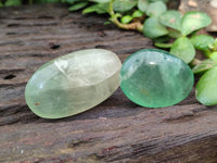 Polished Green Fluorite Palm Stones x 35 From Madagascar