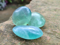 Polished Green Fluorite Palm Stones x 35 From Madagascar