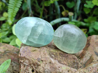Polished Green Fluorite Palm Stones x 35 From Madagascar