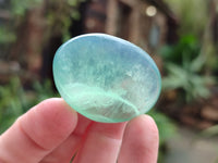 Polished Green Fluorite Palm Stones x 35 From Madagascar