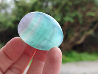 Polished Green Fluorite Palm Stones x 35 From Madagascar