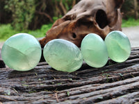 Polished Green Fluorite Palm Stones x 35 From Madagascar