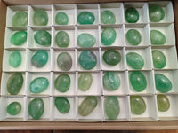 Polished Green Fluorite Palm Stones x 35 From Madagascar