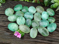 Polished Green Fluorite Palm Stones x 35 From Madagascar