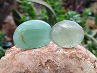 Polished Green Fluorite Palm Stones x 35 From Madagascar