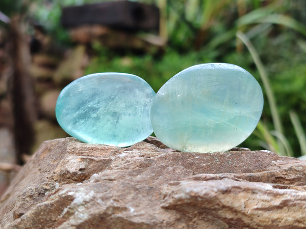 Polished Green Fluorite Palm Stones x 35 From Madagascar