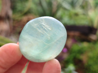 Polished Green Fluorite Palm Stones x 35 From Madagascar