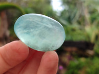 Polished Green Fluorite Palm Stones x 35 From Madagascar