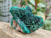 Natural Dioptase with Malachite and Shattuckite Specimens x 4 From Congo
