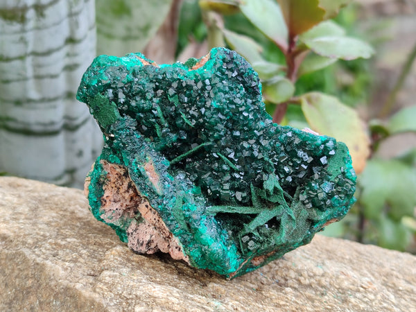 Natural Dioptase with Malachite and Shattuckite Specimens x 4 From Congo