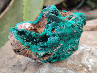 Natural Dioptase with Malachite and Shattuckite Specimens x 4 From Congo