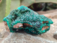 Natural Dioptase with Malachite and Shattuckite Specimens x 4 From Congo