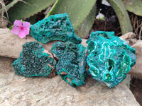 Natural Dioptase with Malachite and Shattuckite Specimens x 4 From Congo