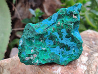 Natural Dioptase with Malachite and Shattuckite Specimens x 4 From Congo