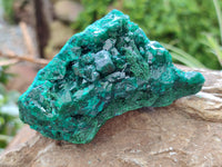 Natural Dioptase with Malachite and Shattuckite Specimens x 4 From Congo
