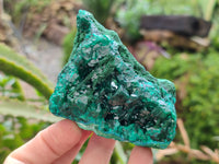 Natural Dioptase with Malachite and Shattuckite Specimens x 4 From Congo