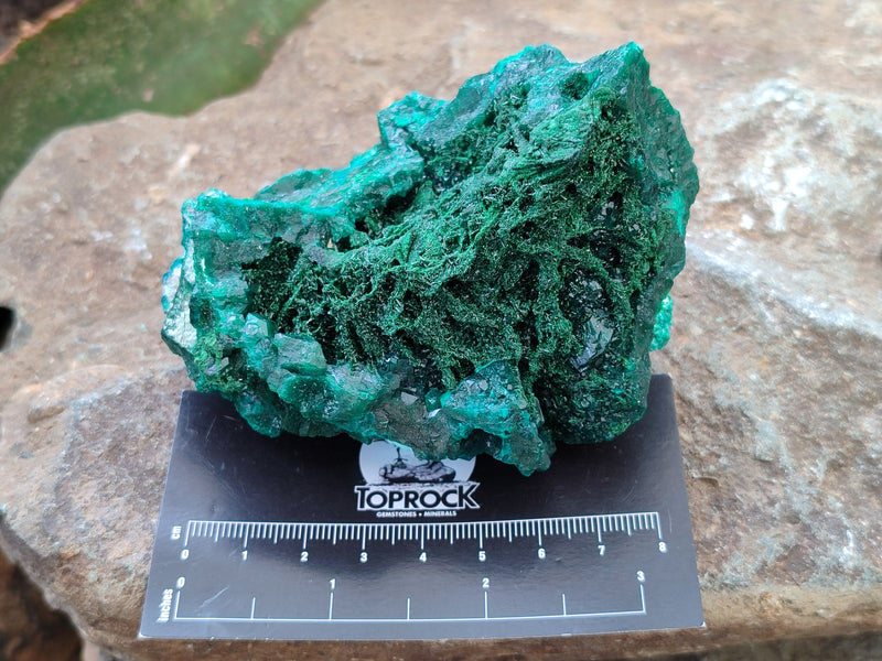 files/164074_7.jpg