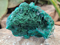 Natural Dioptase with Malachite and Shattuckite Specimens x 4 From Congo