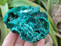 Natural Dioptase with Malachite and Shattuckite Specimens x 4 From Congo